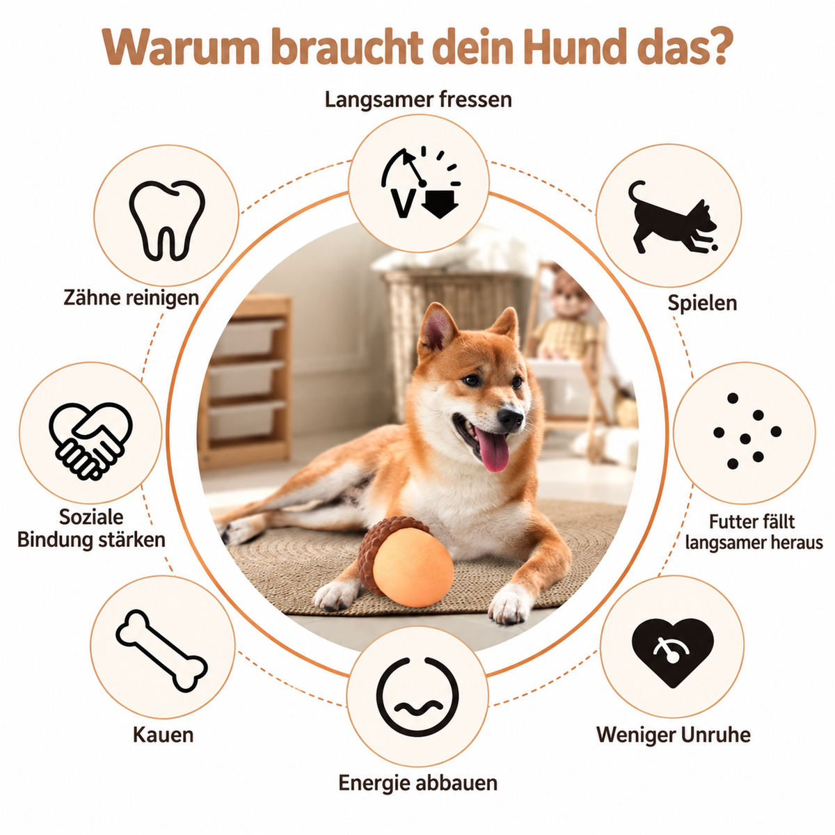 Hunde – Leckerli-Rätsel 🐶🌰