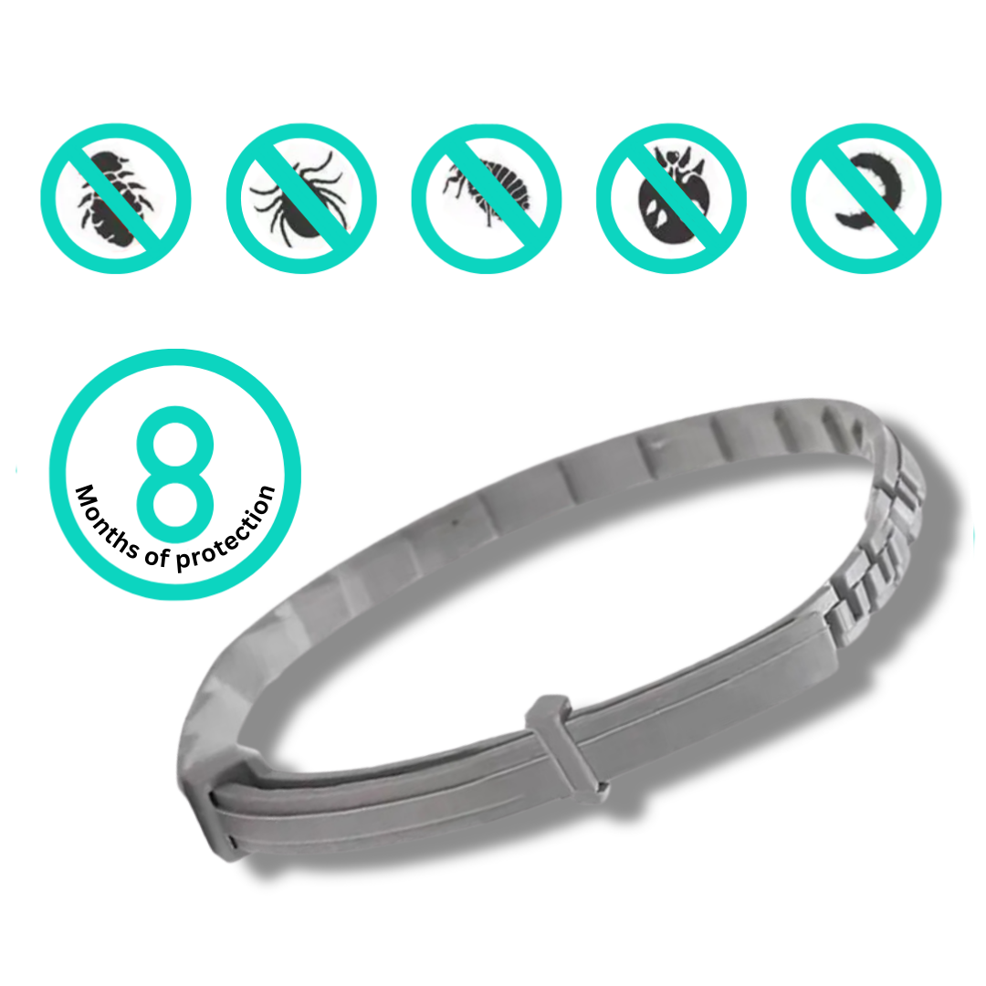 Floh- & Zeckenhalsband für Hunde