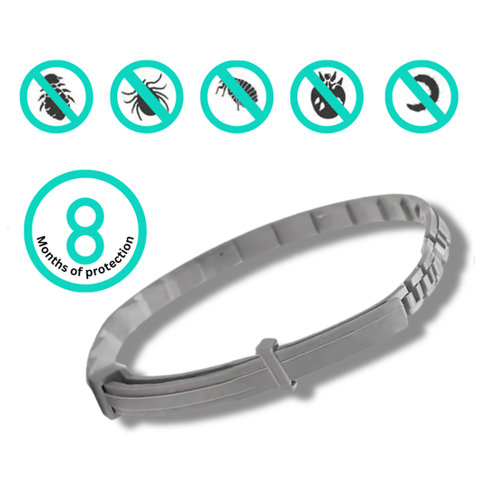 Floh- & Zeckenhalsband für Hunde