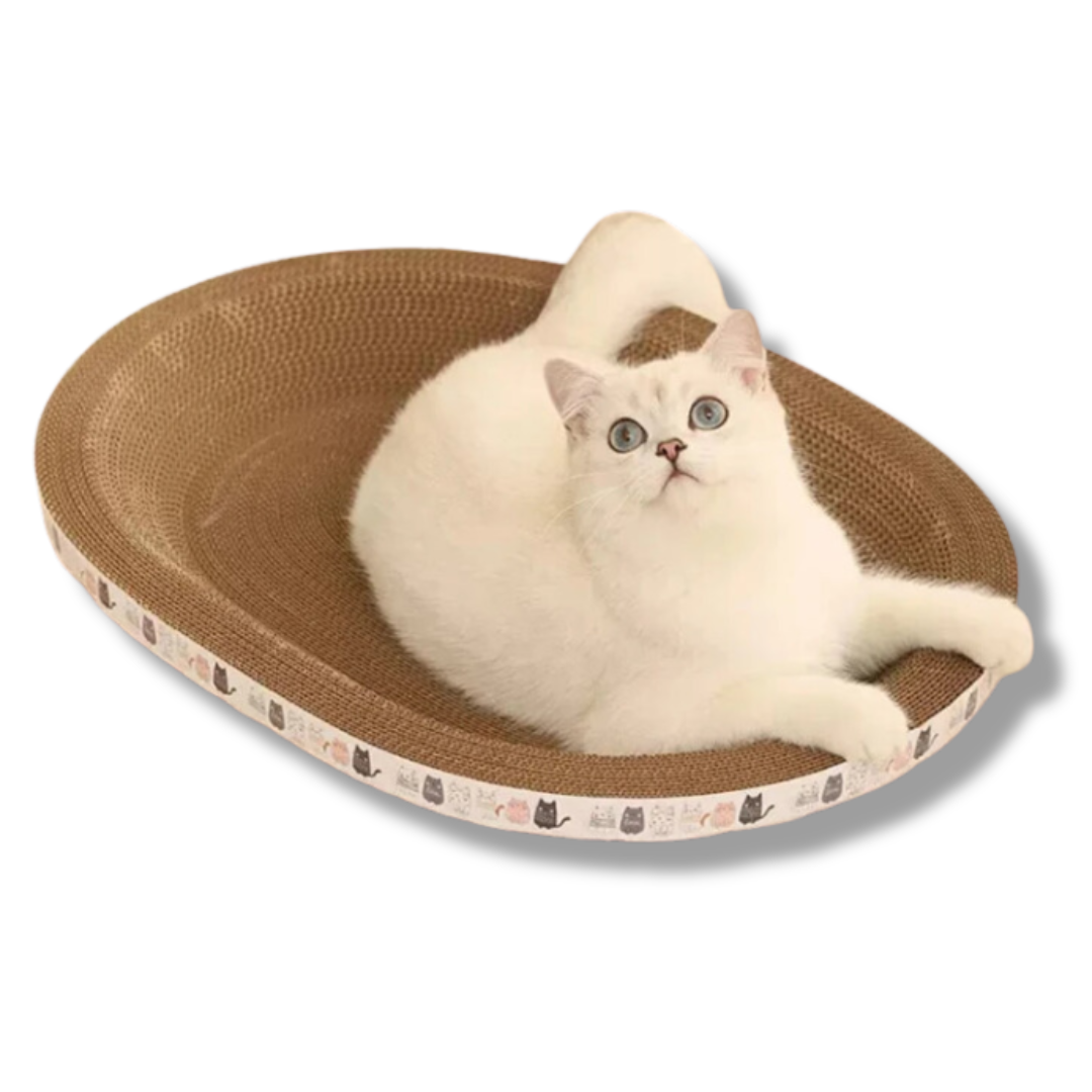 Katzen Kratzpad aus Karton