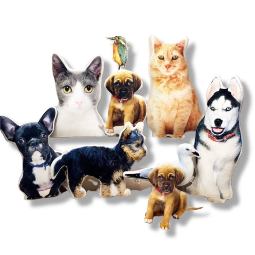Personalisiertes Haustierkissen
