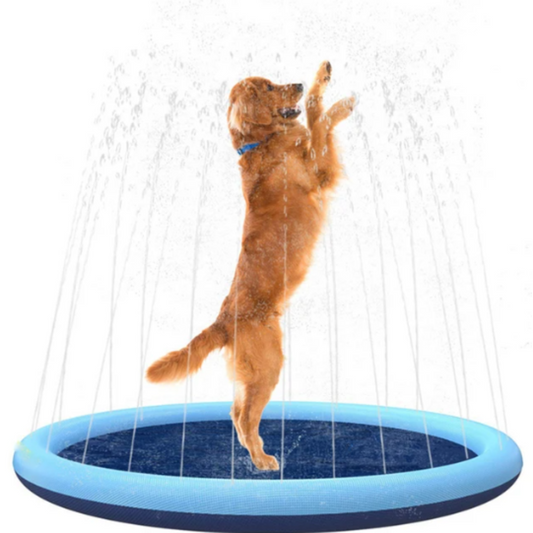 Wassersprinkler Spielmatte für Hunde