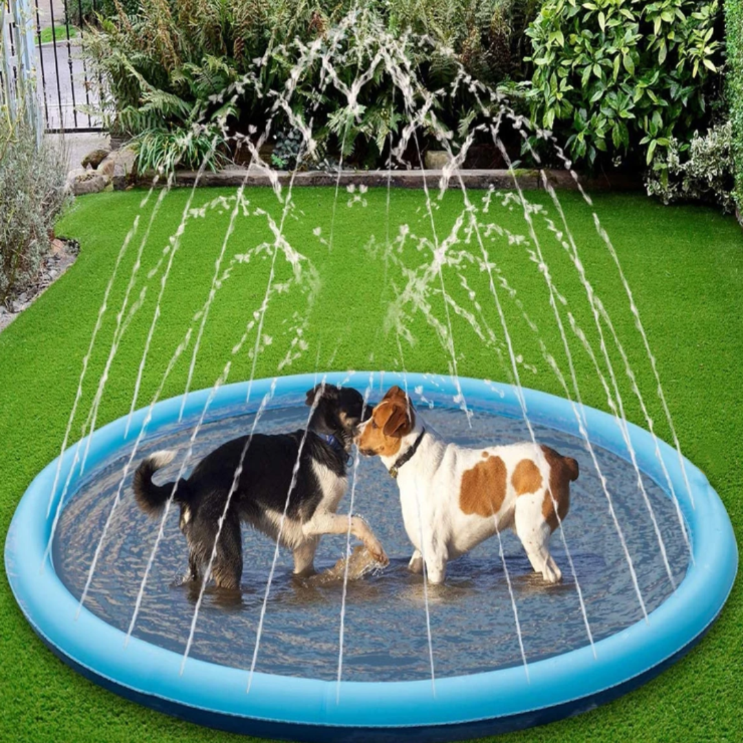 Wassersprinkler Spielmatte für Hunde