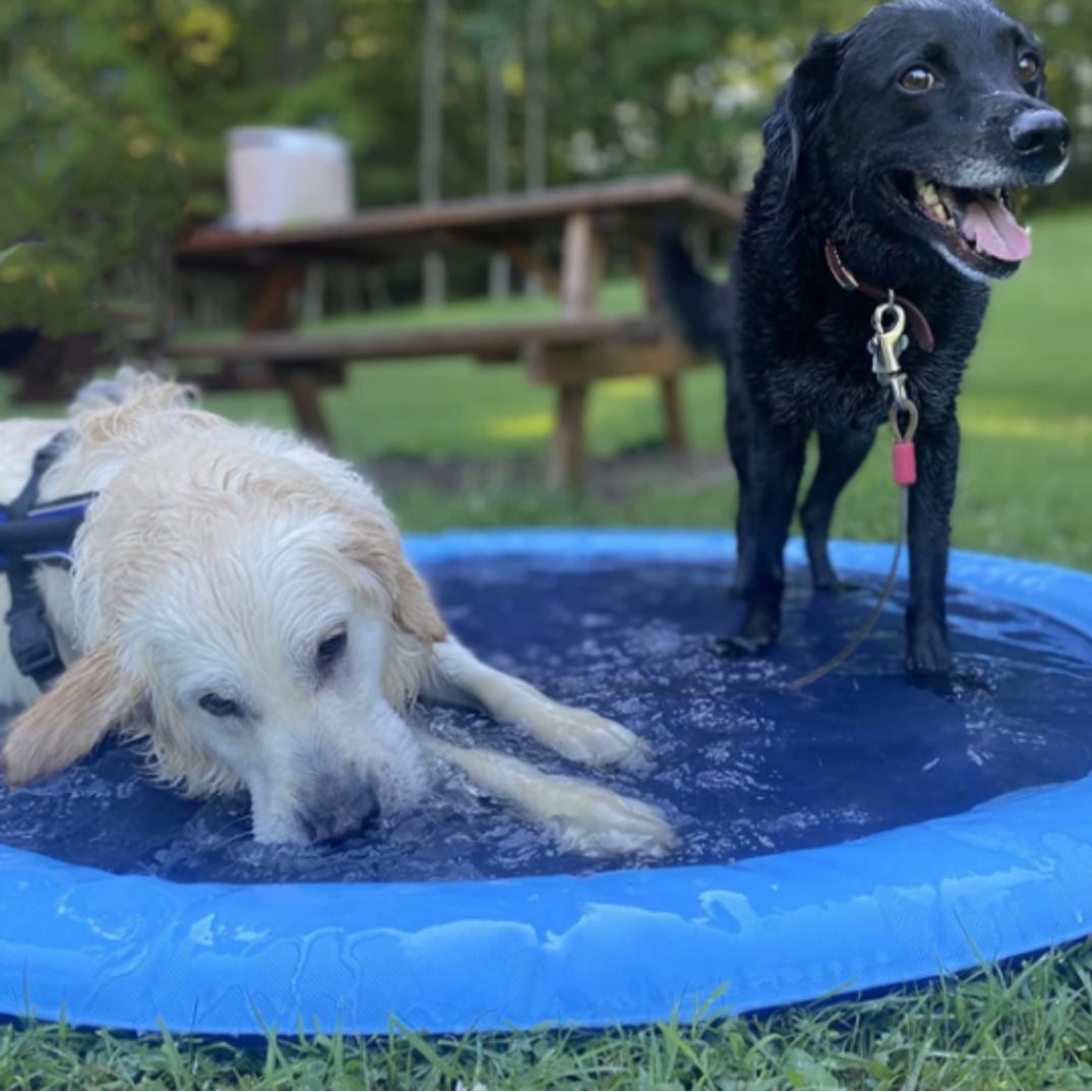 Wassersprinkler Spielmatte für Hunde