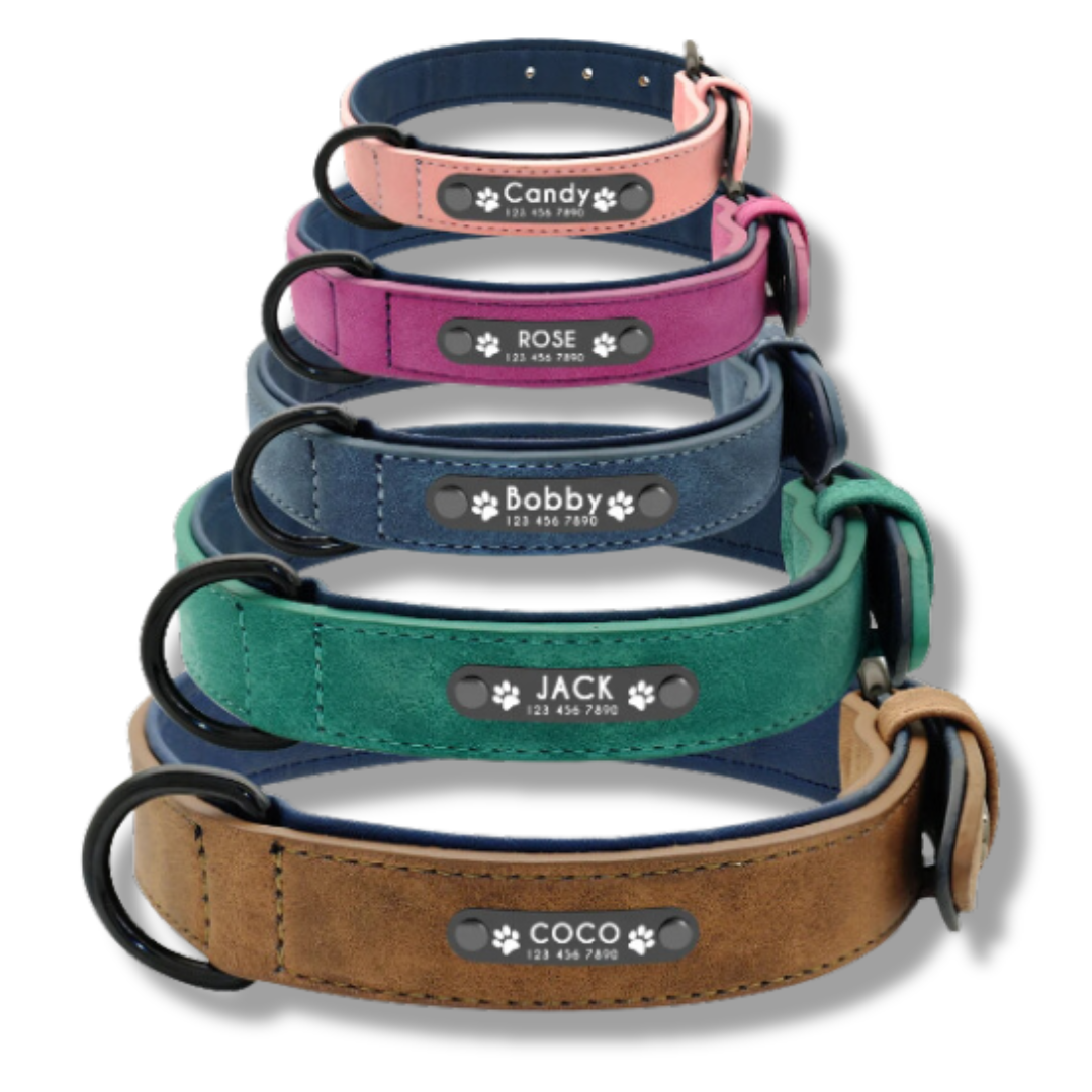 Personalisiertes Leder Hundehalsband mit Leine
