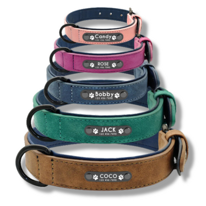 Personalisiertes Leder Hundehalsband mit Leine