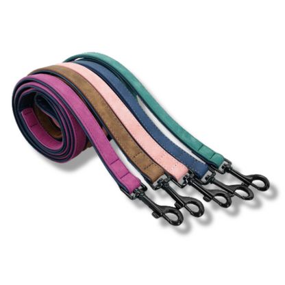 Personalisiertes Leder Hundehalsband mit Leine