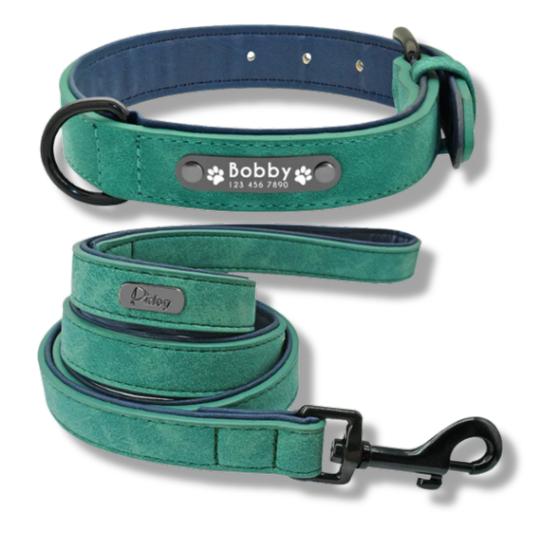 Personalisiertes Leder Hundehalsband mit Leine