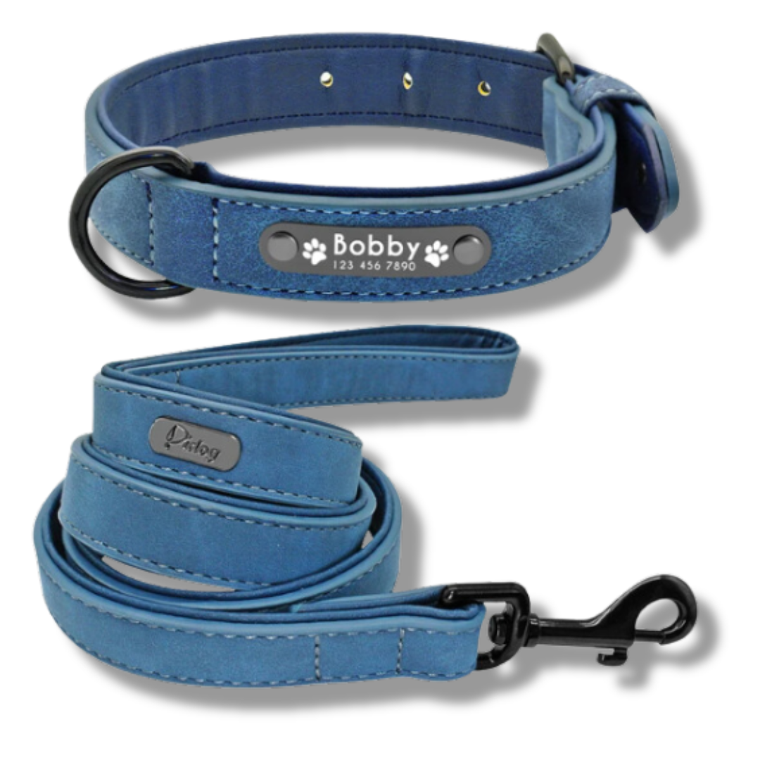 Personalisiertes Leder Hundehalsband mit Leine