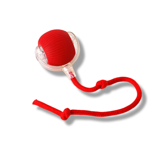Interaktiver Spielball für Hunde & Katzen
