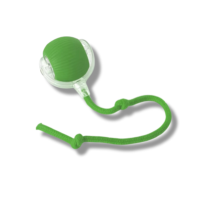 Interaktiver Spielball für Hunde & Katzen