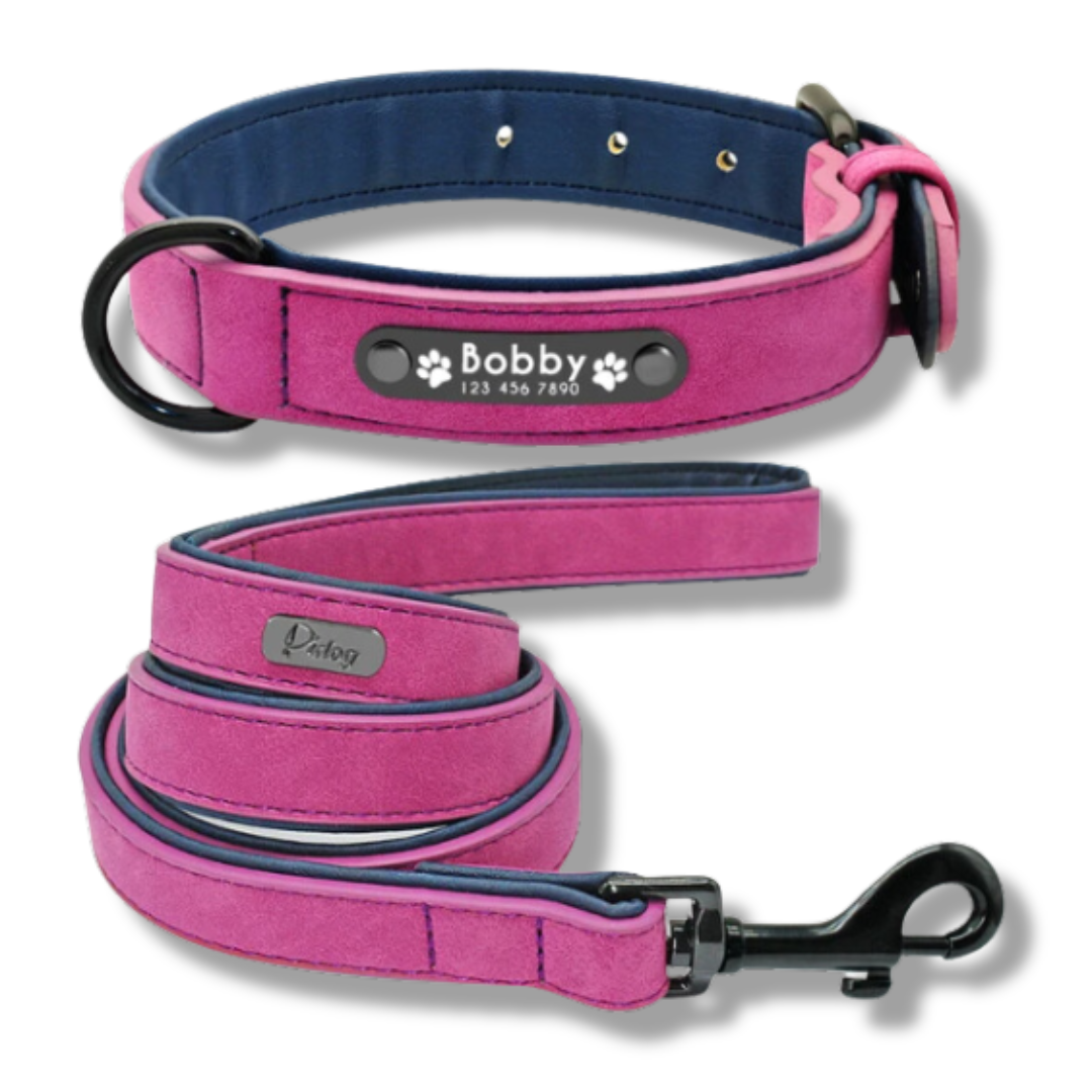 Personalisiertes Leder Hundehalsband mit Leine