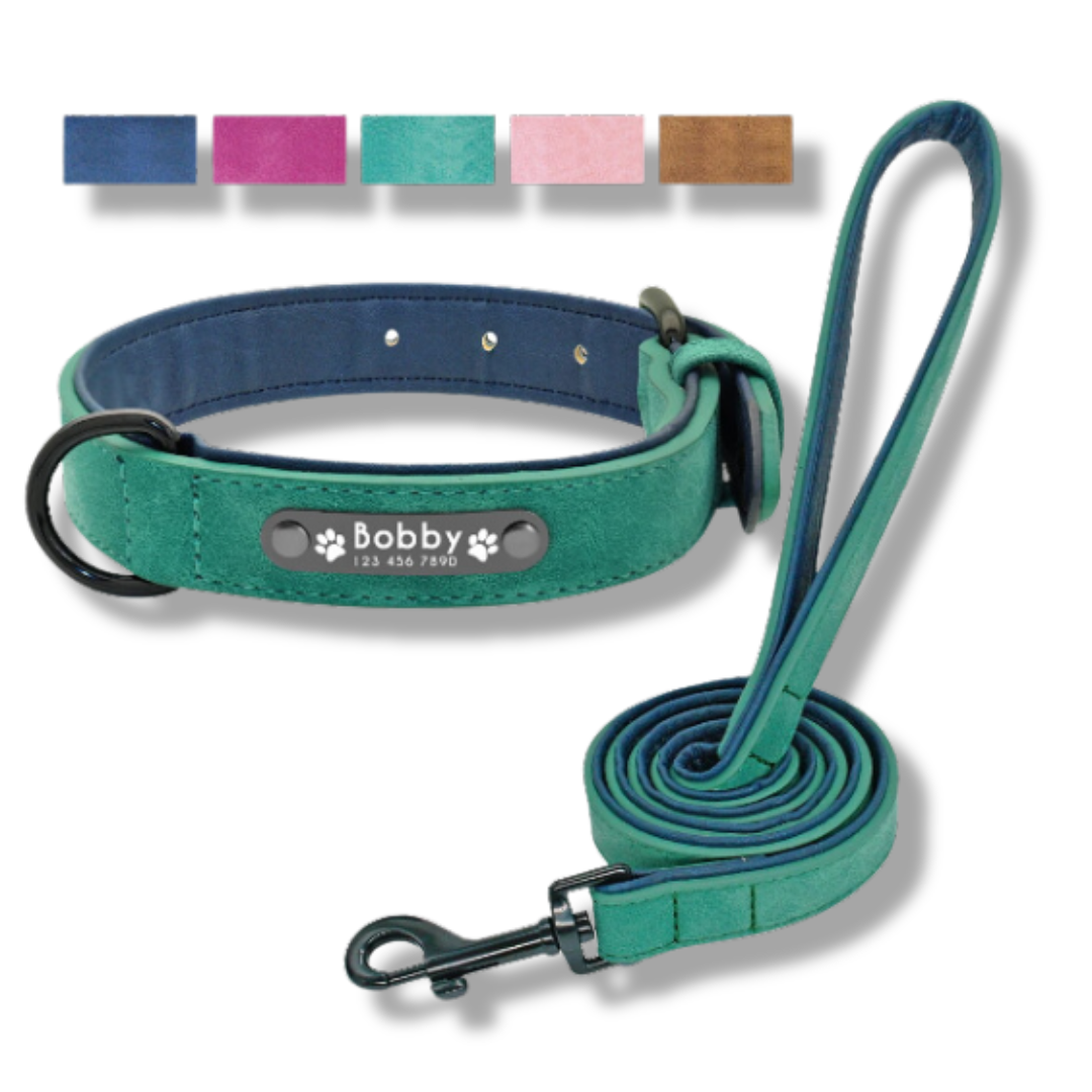 Personalisiertes Leder Hundehalsband mit Leine