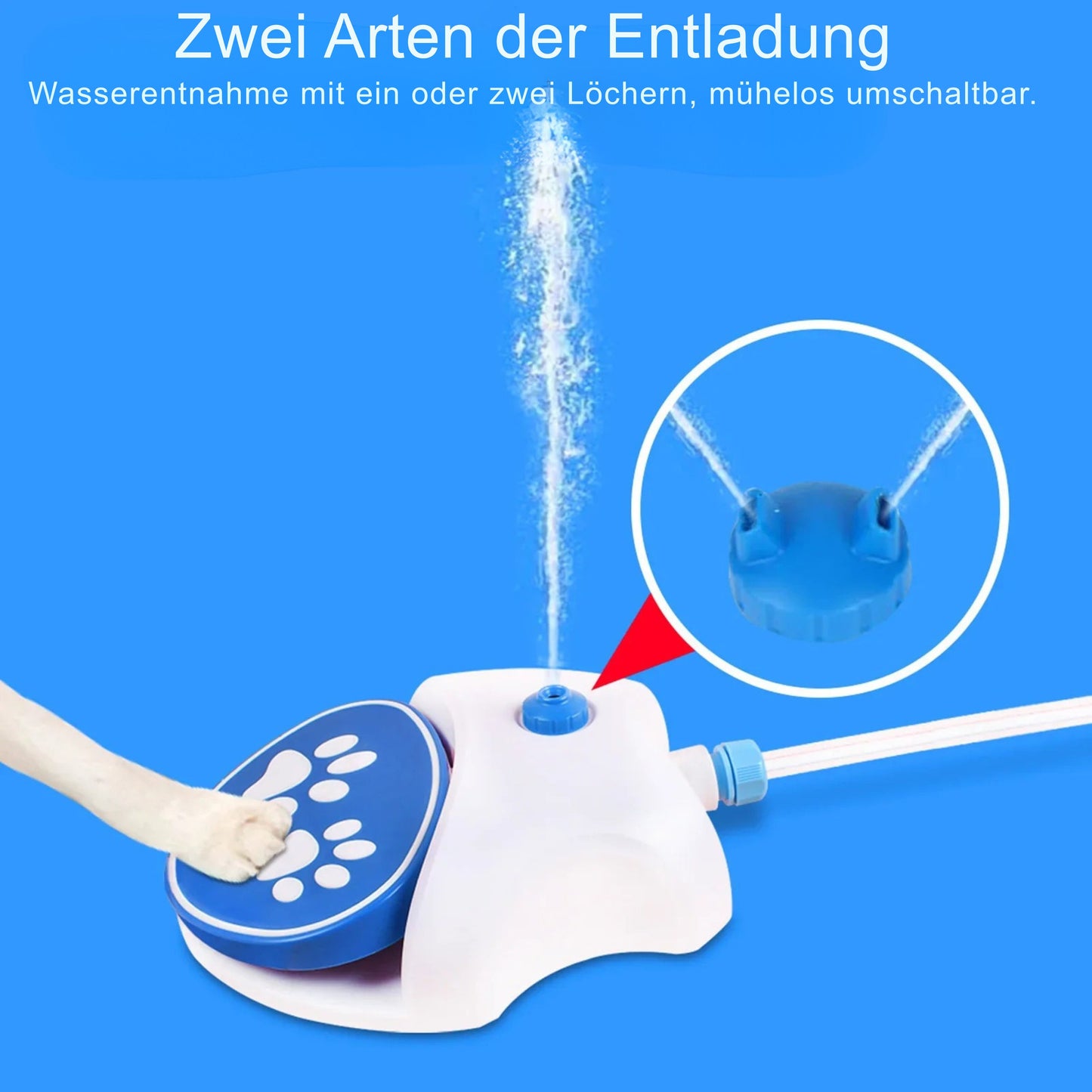 Sprung Trinkbrunnen für Hunde