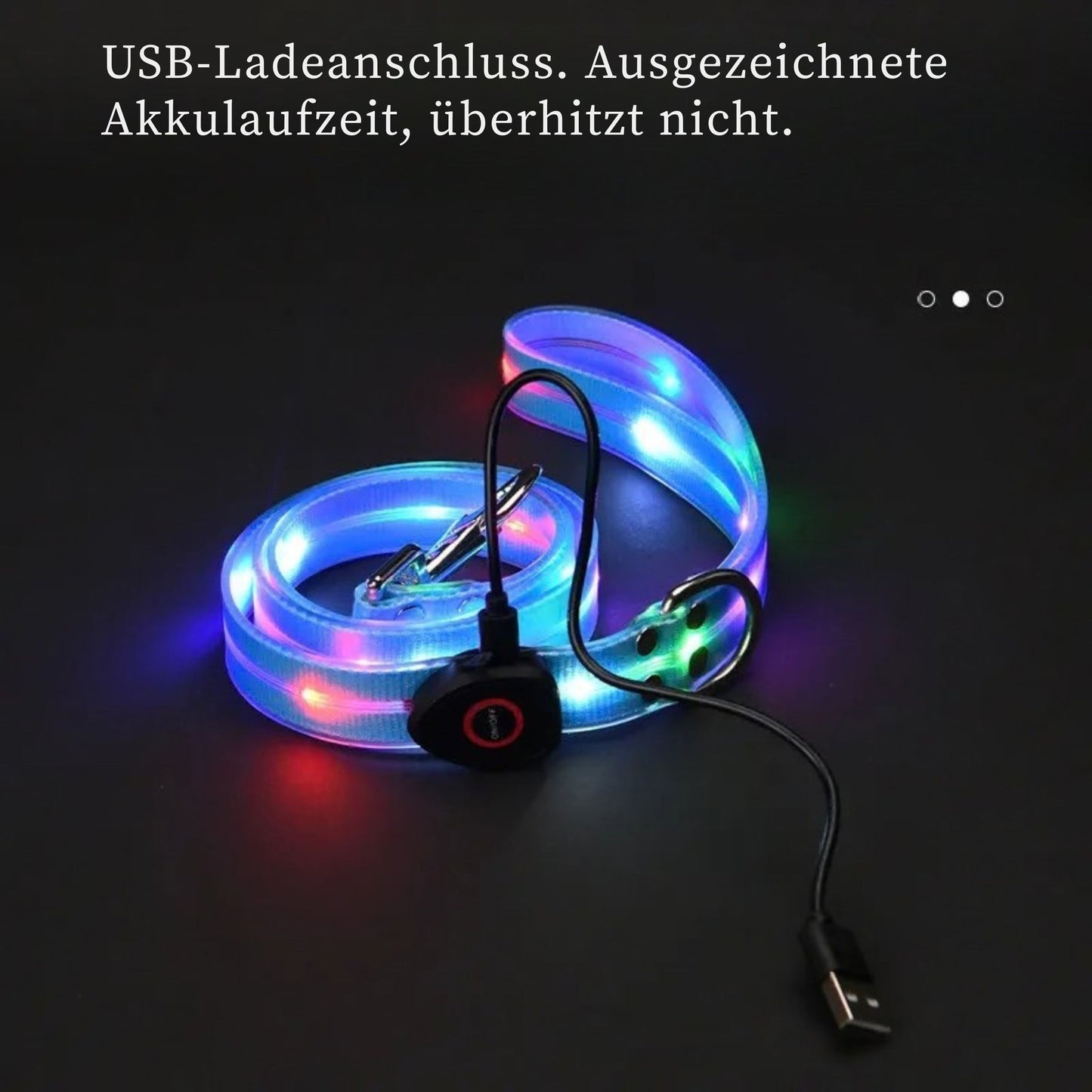 LED Hundehalsband & Leinen-Set