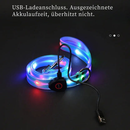 LED Hundehalsband & Leinen-Set