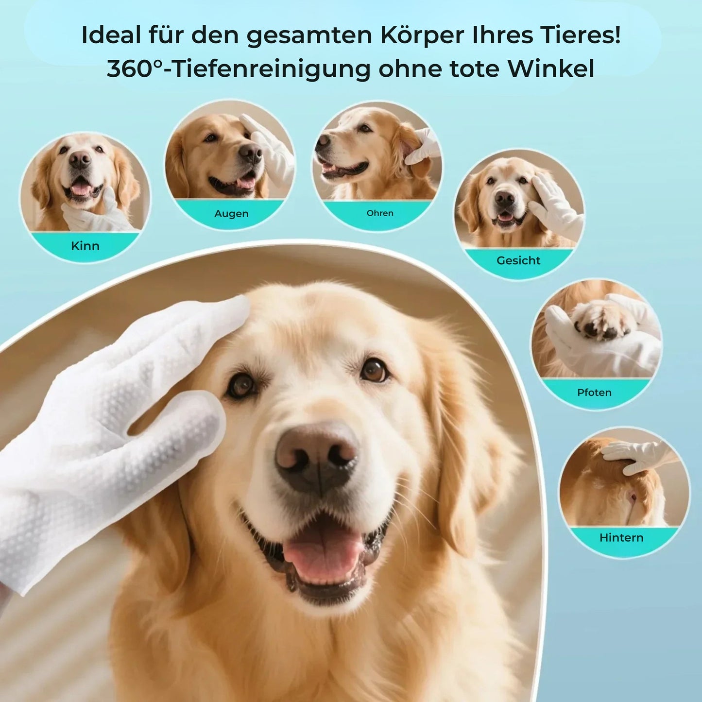 PfotenFrisch Fellpflege-Handschuhe ohne Ausspülen