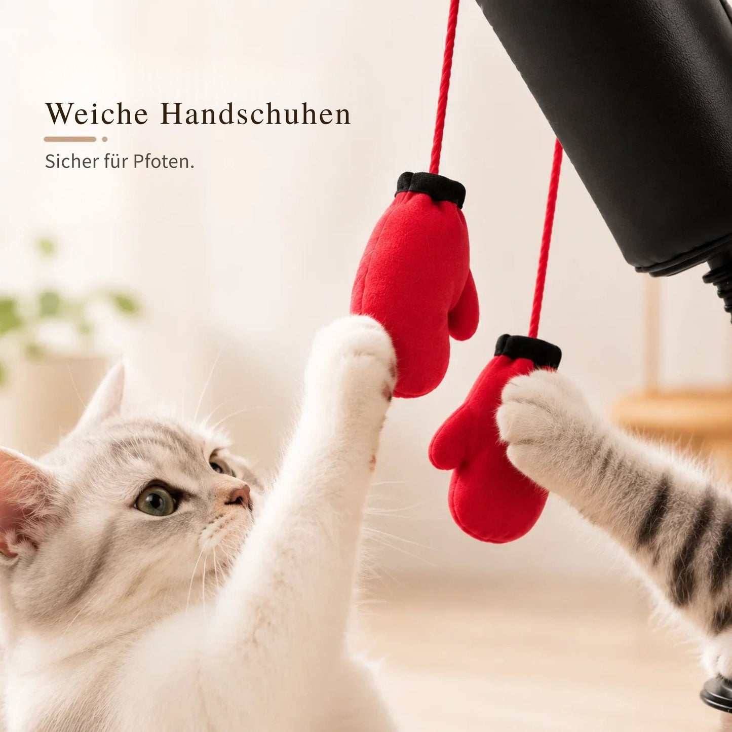 PfotenBox Interaktives Katzenspielzeug
