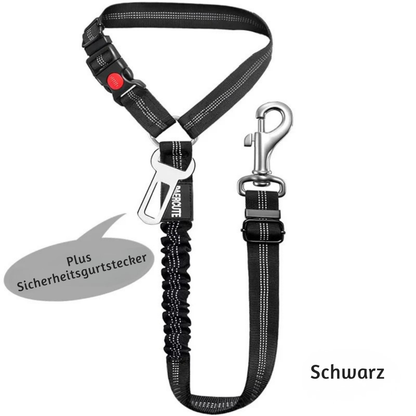 2-in-1 Haustier Sicherheitsgurt-Leine