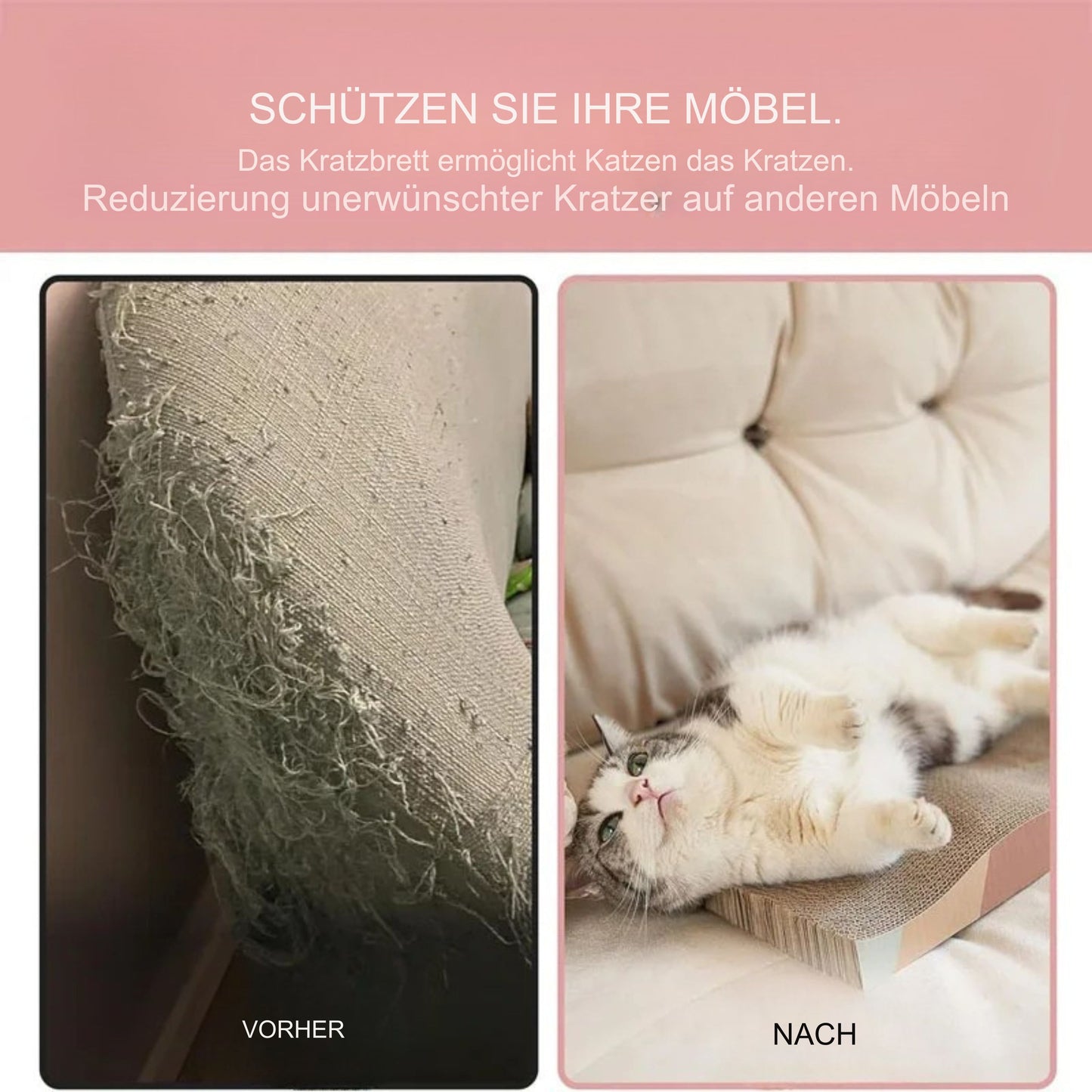 KrallenOase Katzen-Kratzlounge