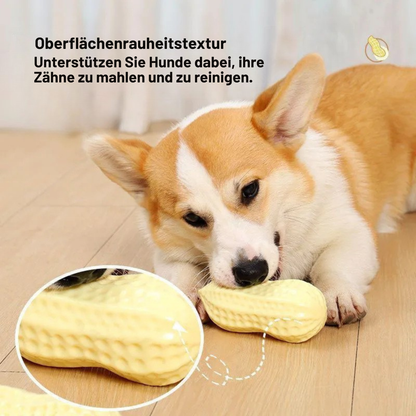 KnabberSpaß Quietsch-Kauspielzeug für Hunde