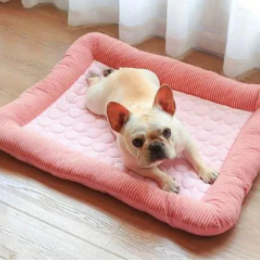Kühlmatte für Hunde