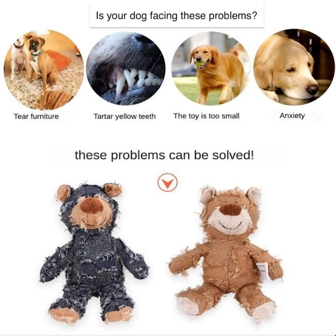 Robuster Teddybär für Hunde