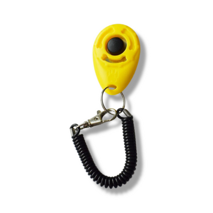 Hundetrainings Clicker