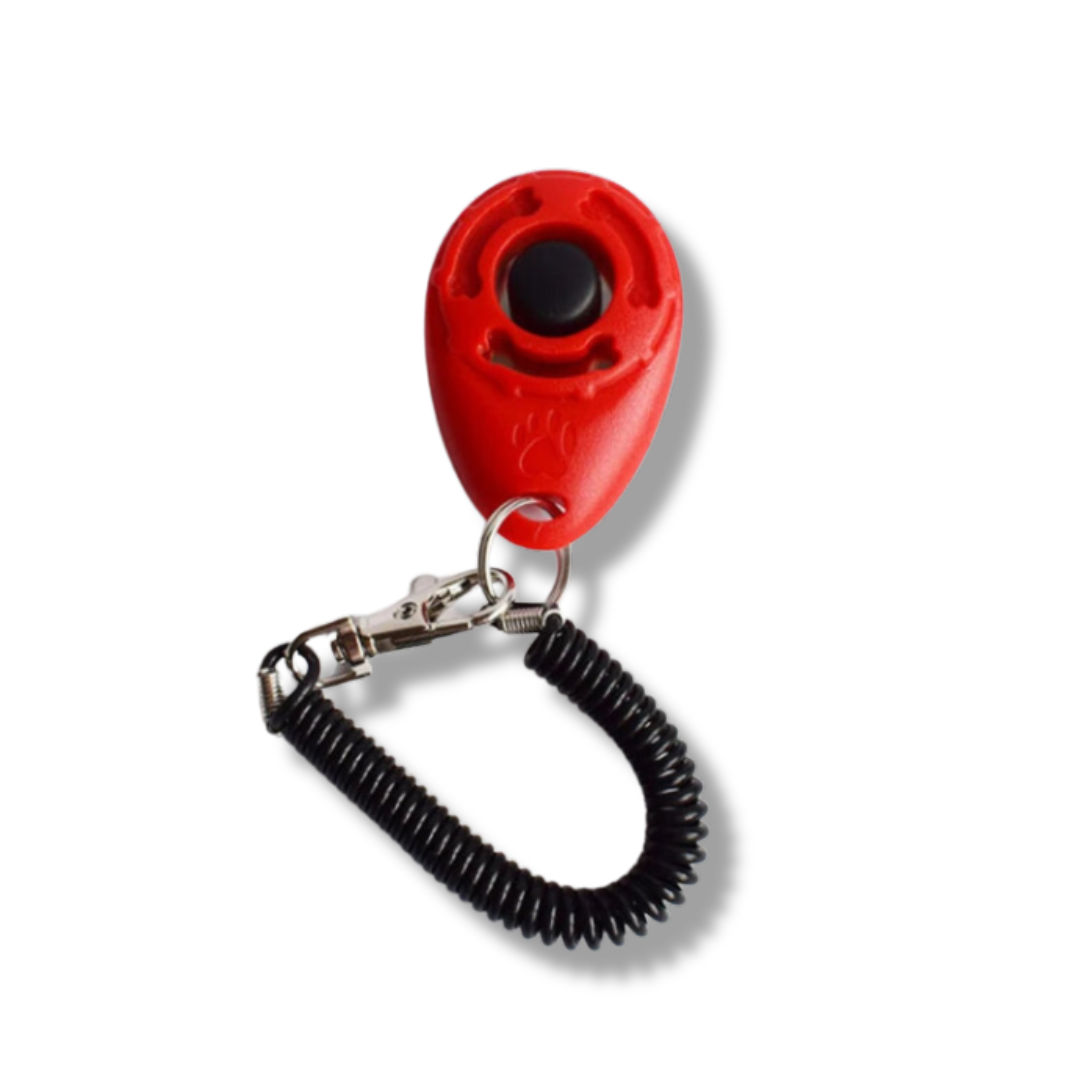 Hundetrainings Clicker