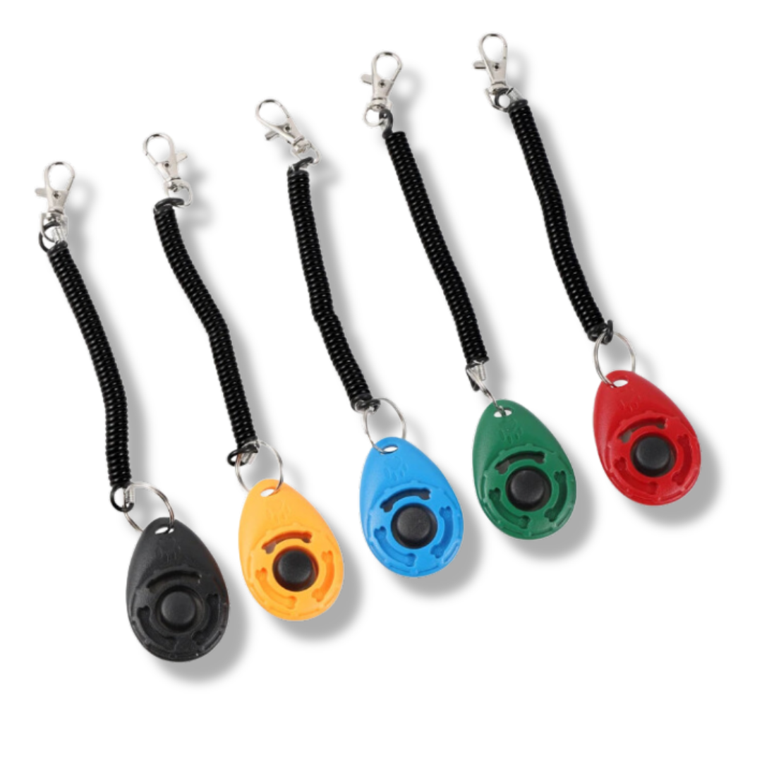 Hundetrainings Clicker