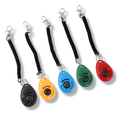 Hundetrainings Clicker