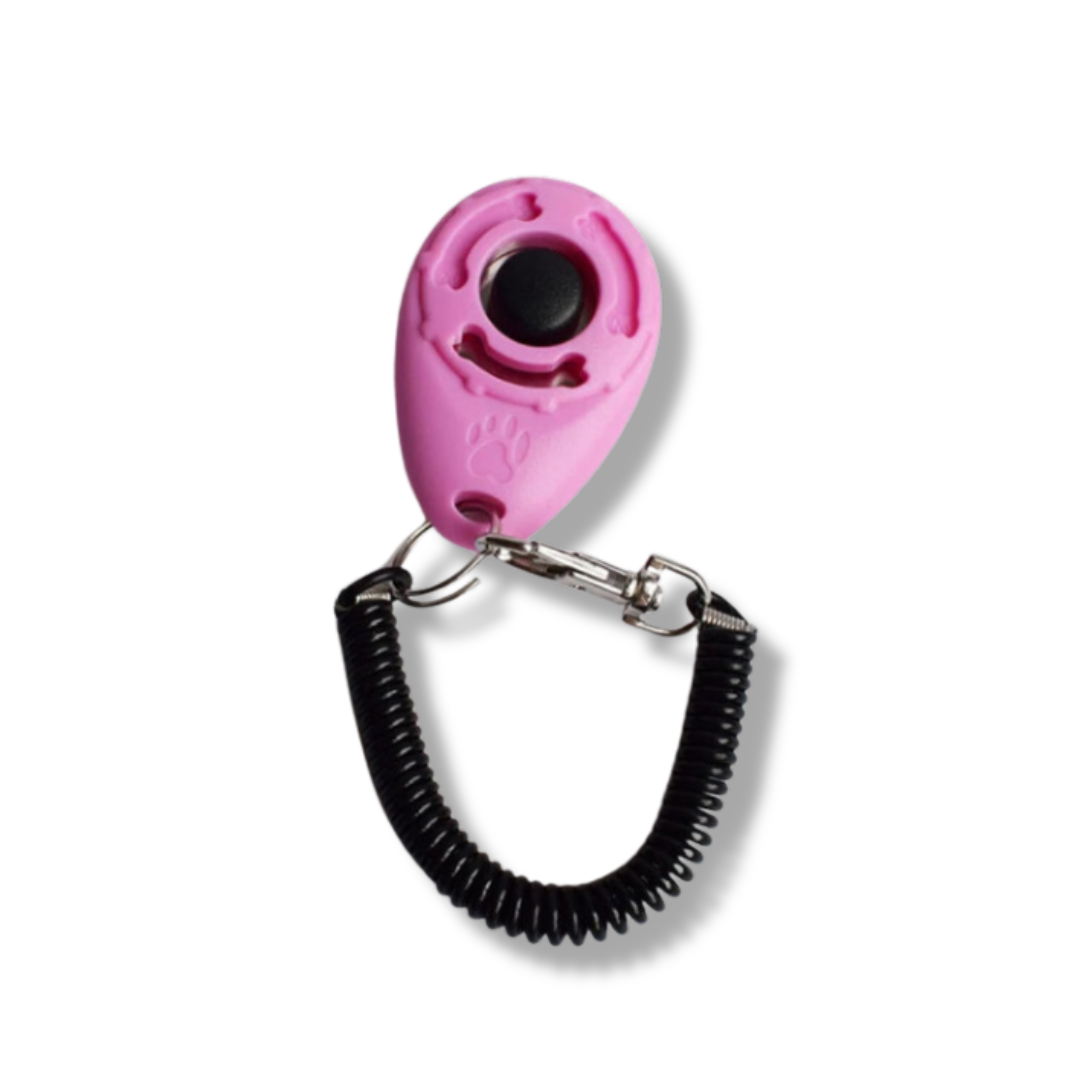 Hundetrainings Clicker