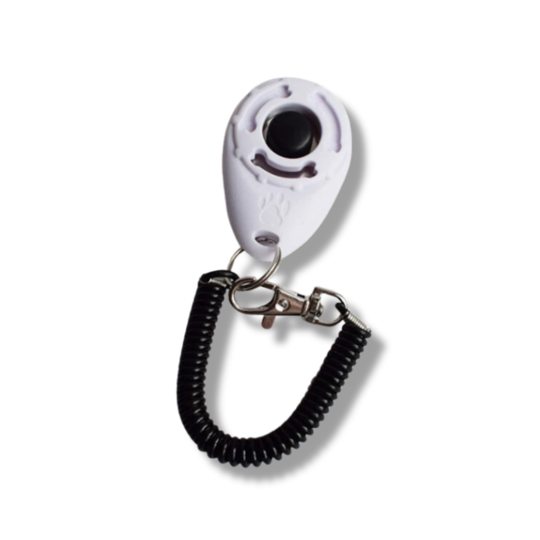 Hundetrainings Clicker