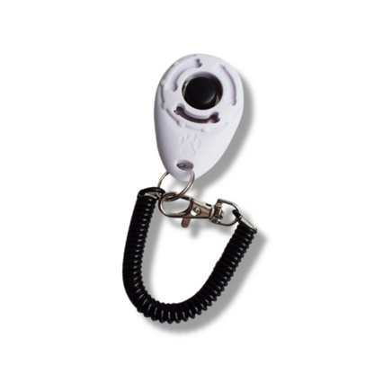 Hundetrainings Clicker