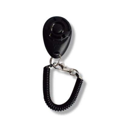 Hundetrainings Clicker