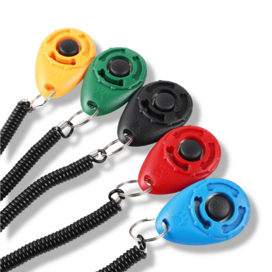 Hundetrainings Clicker