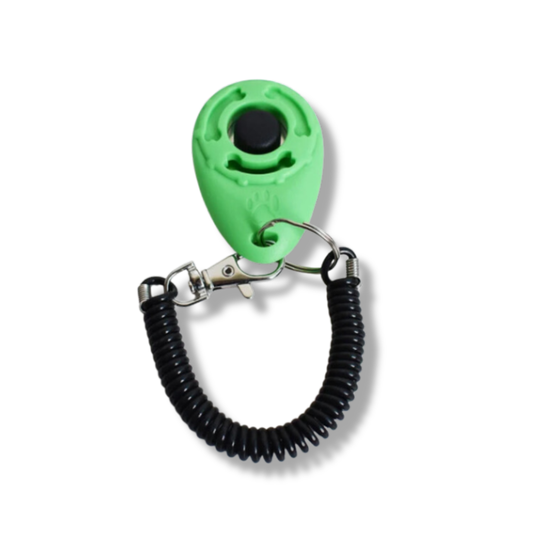 Hundetrainings Clicker