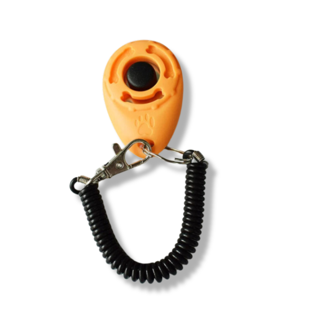 Hundetrainings Clicker