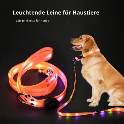 LED Hundehalsband & Leinen-Set