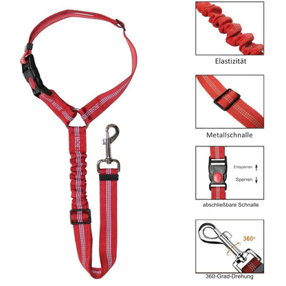 2-in-1 Haustier Sicherheitsgurt-Leine