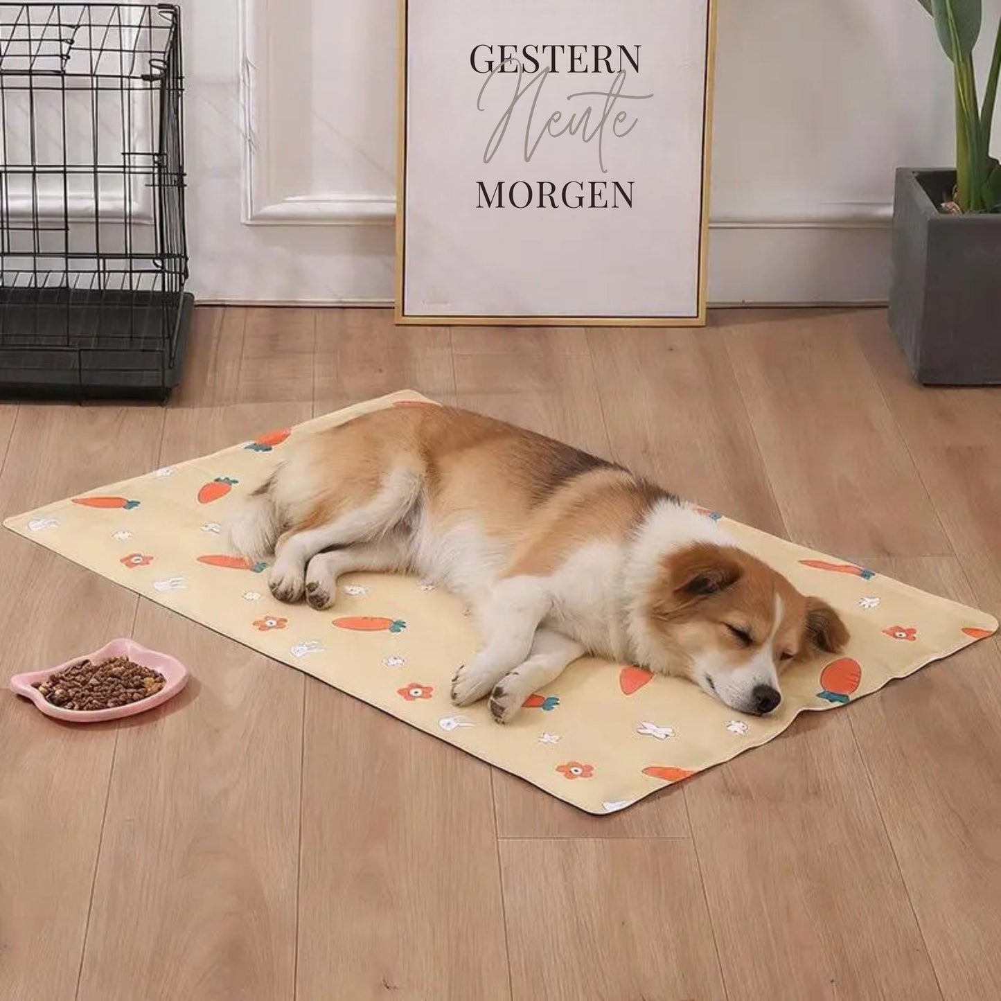 KühlPfote Wiederverwendbare Kühlmatte für Haustiere