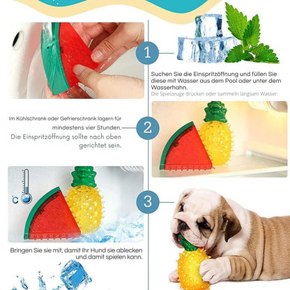FruchtFrost Kühl-Kauspielzeug für Haustiere