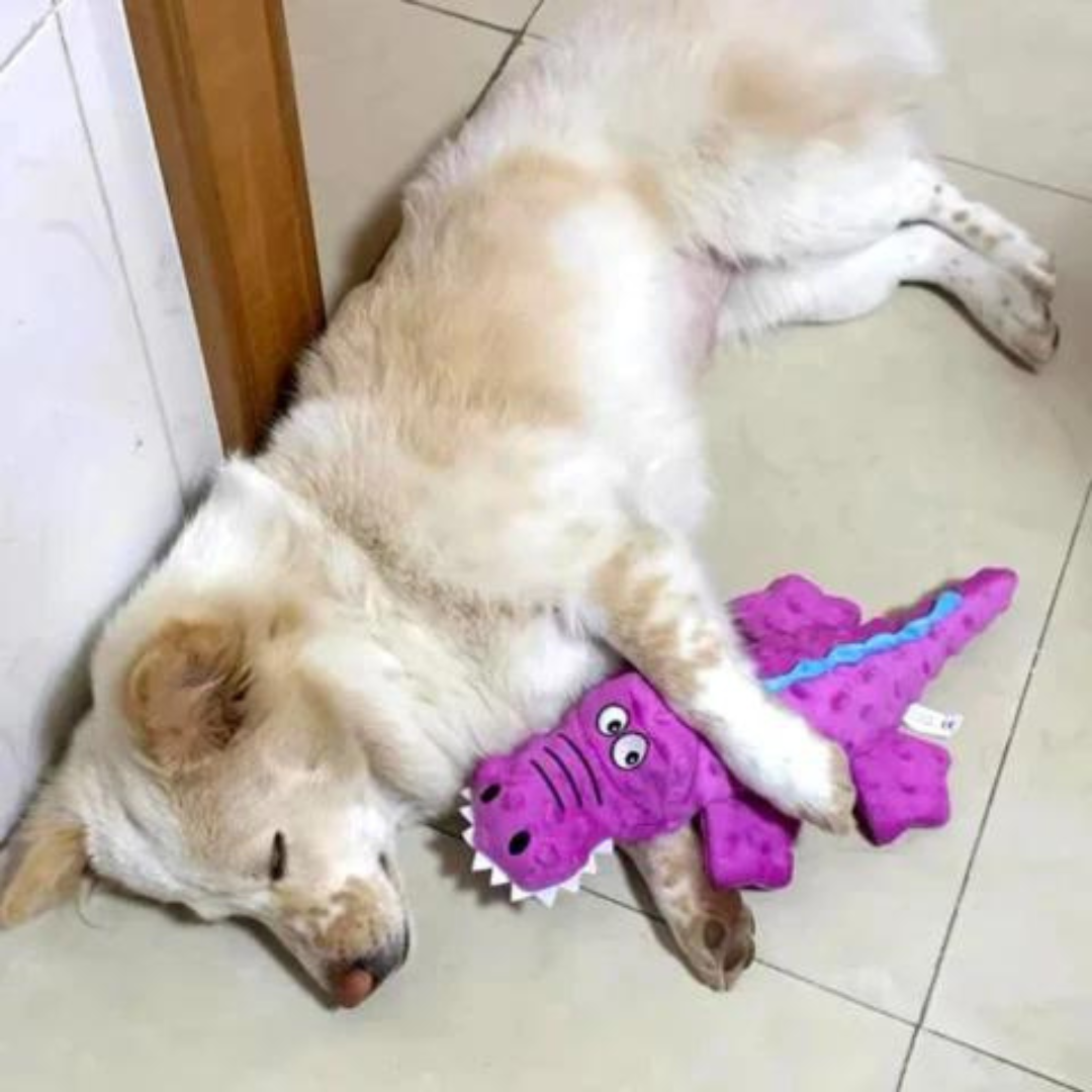 Krokodil Spielzeug für Hunde