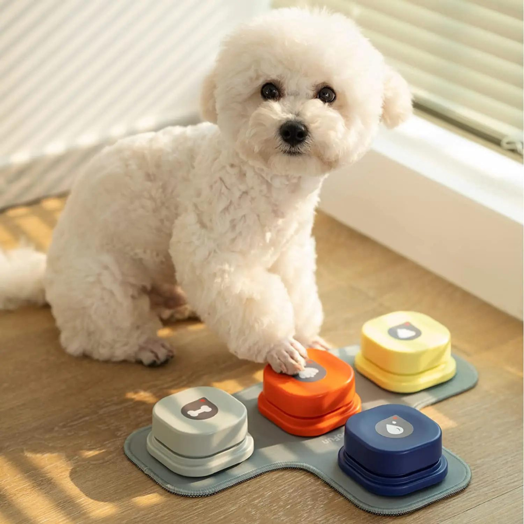 Kommunikationsbutton für Hunde