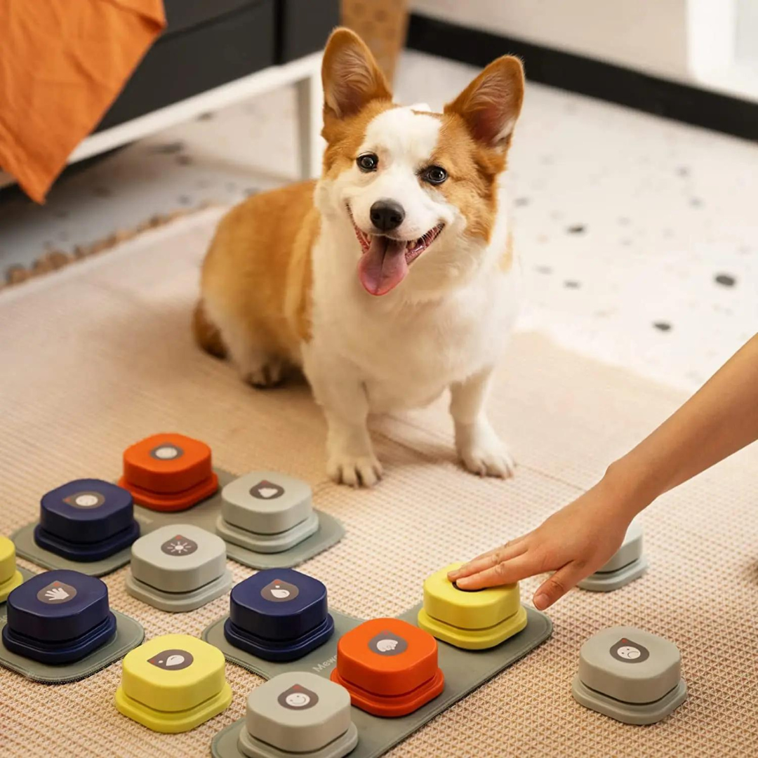 Kommunikationsbutton für Hunde