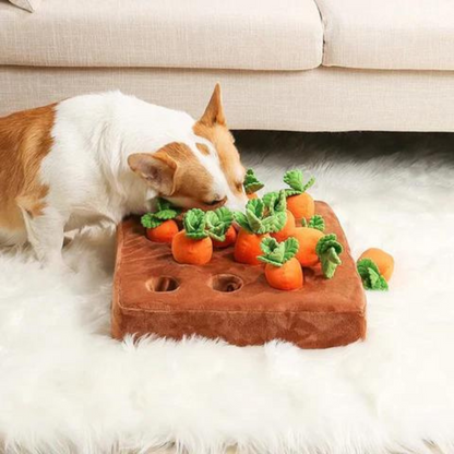 Karotten Schnüffelspielzeug für Hunde