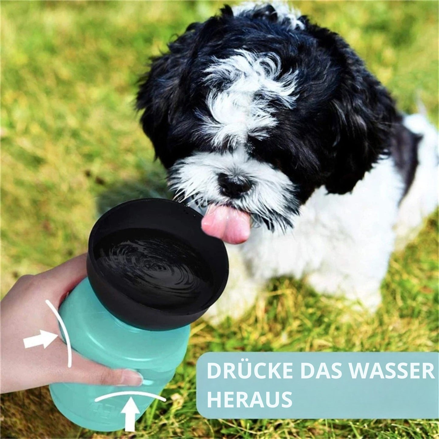 Faltbare Hunde Trinkflasche
