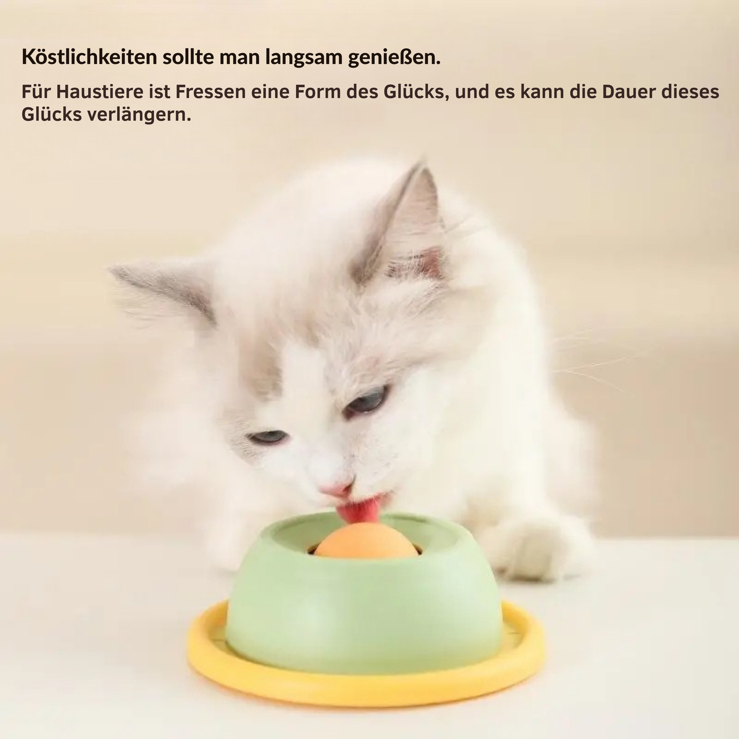 Langsamfressender Futternapf für Katzen
