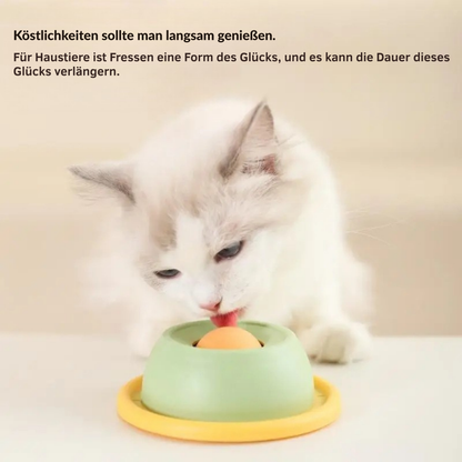 Langsamfressender Futternapf für Katzen