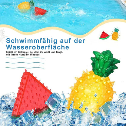 FruchtFrost Kühl-Kauspielzeug für Haustiere